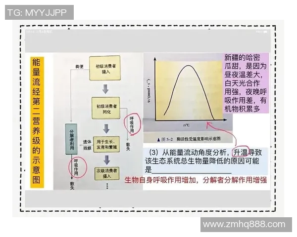最新研究揭示全球气候变化加剧对生态系统的深远影响及应对策略