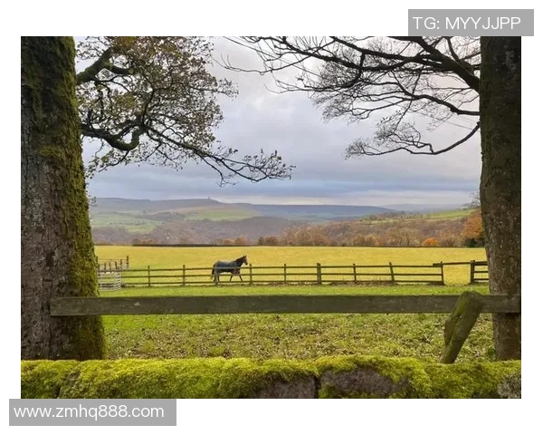 曼城周边景点一日游推荐